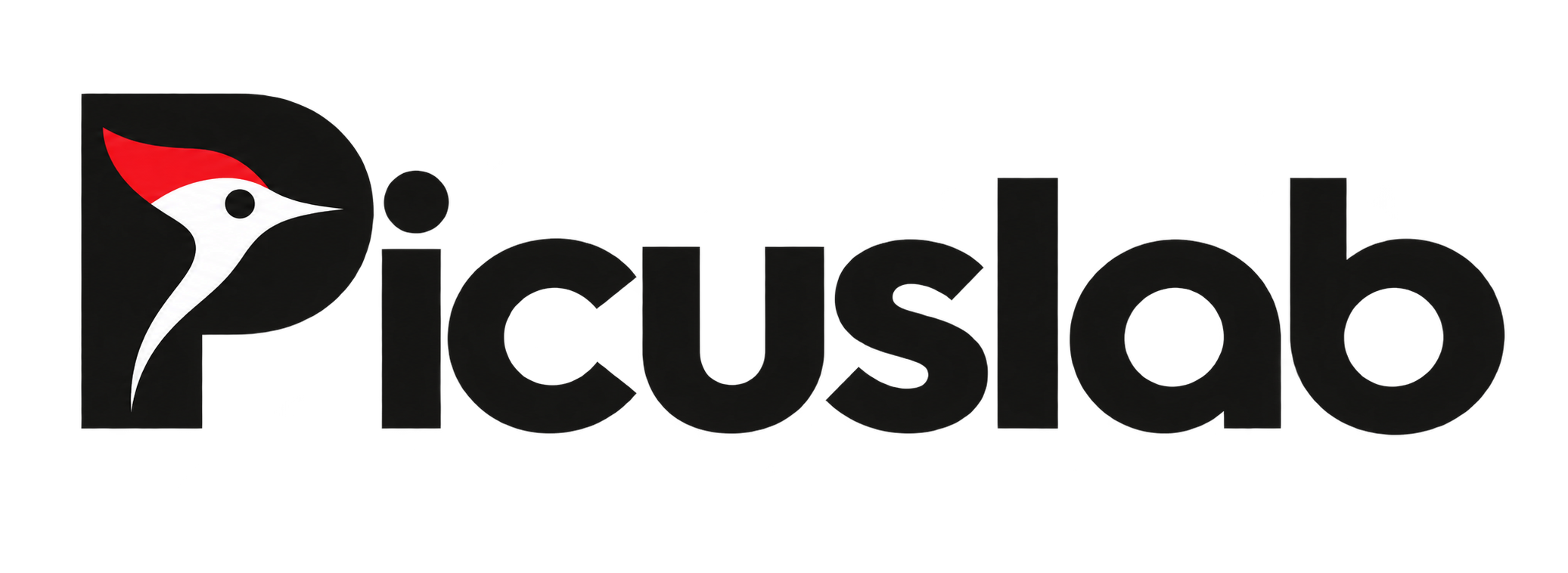Picuslab